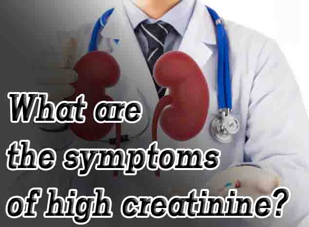 What are the symptoms of high creatinine?